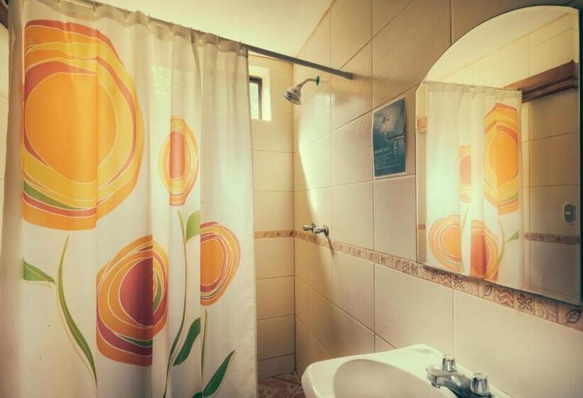 غرفة قياسية, Nicawaves