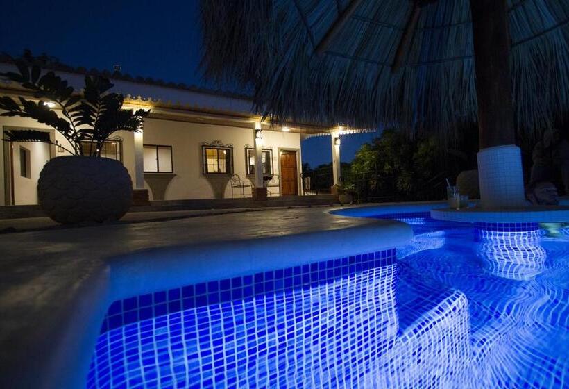 غرفة ديلوكس ثلاثية, Nicawaves