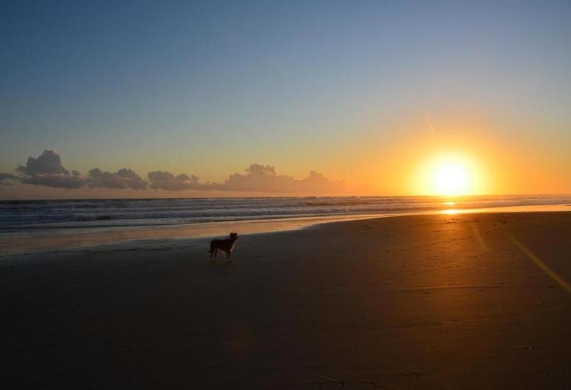 Кровать в Общей Комнате, La Brújula Hostel