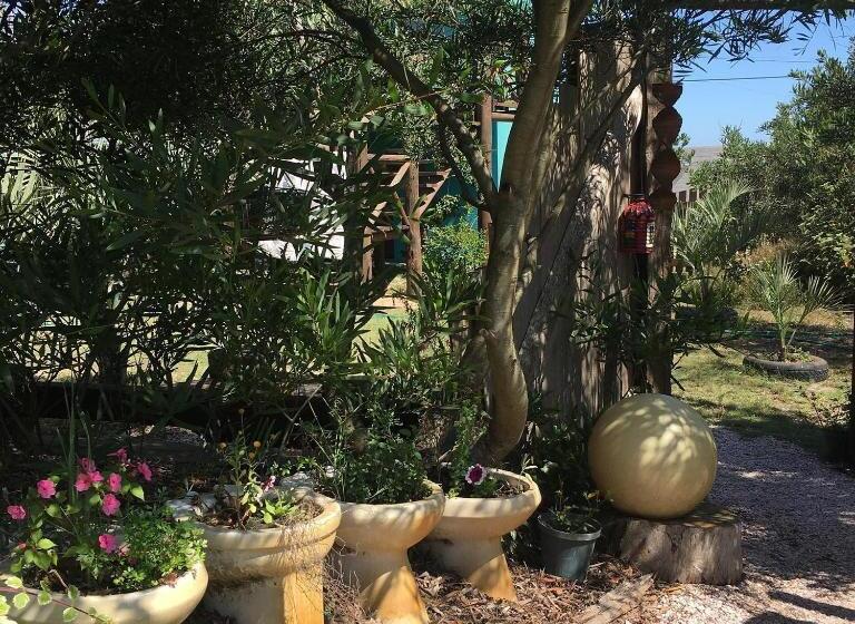 Кровать в Общей Комнате, La Brújula Hostel