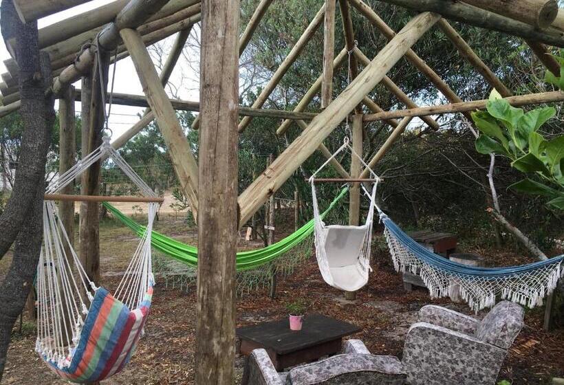 Кровать в Общей Комнате, La Brújula Hostel