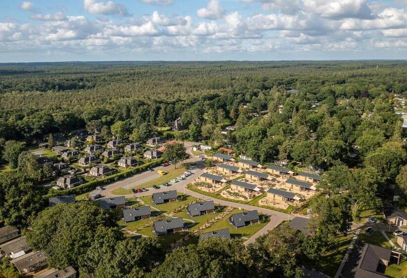 اتاق استاندارد, De Ijsvogel   Het échte Veluwegevoel