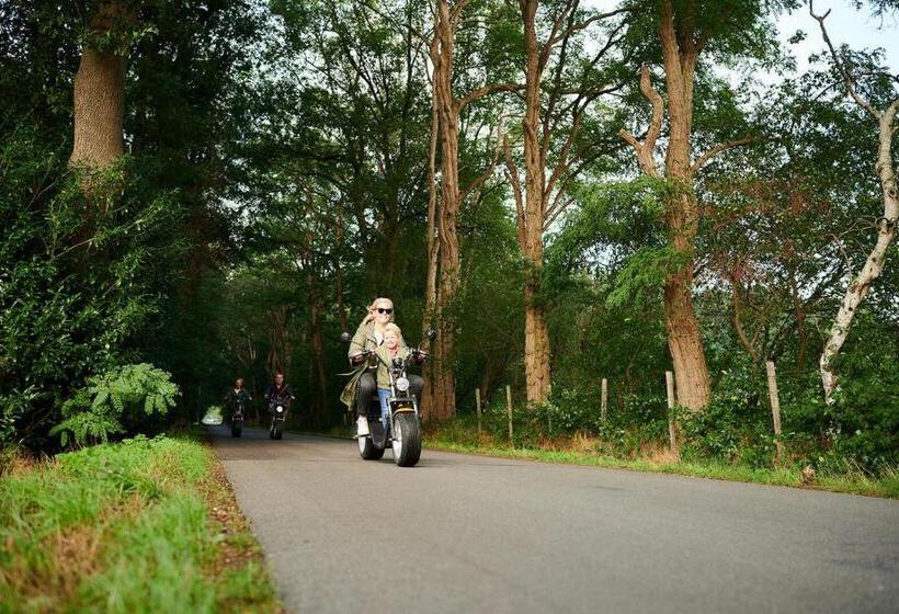 اتاق استاندارد, De Ijsvogel   Het échte Veluwegevoel