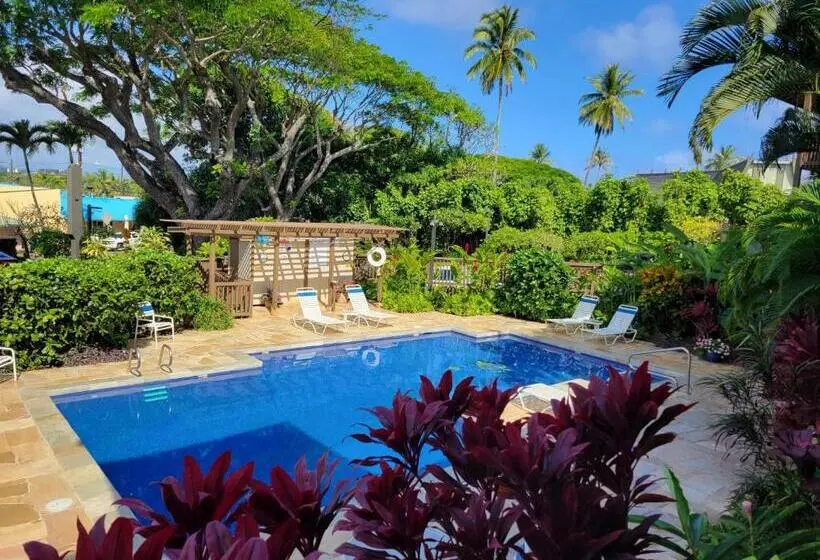 海の見える１ベッドルームアパートメント, Stunning Oceanfront Condo   The Seashore Hideaway, Wailua Bay View, Unit 208, Kapaa