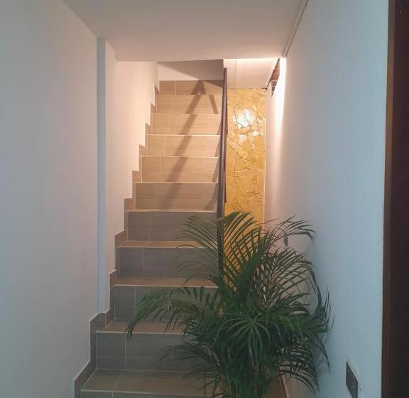 דירת חדר, Rose Moor