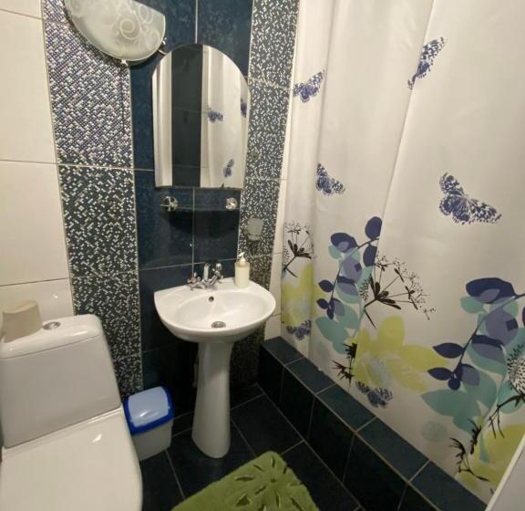 舒适型房间, Vesela Bdzhilka