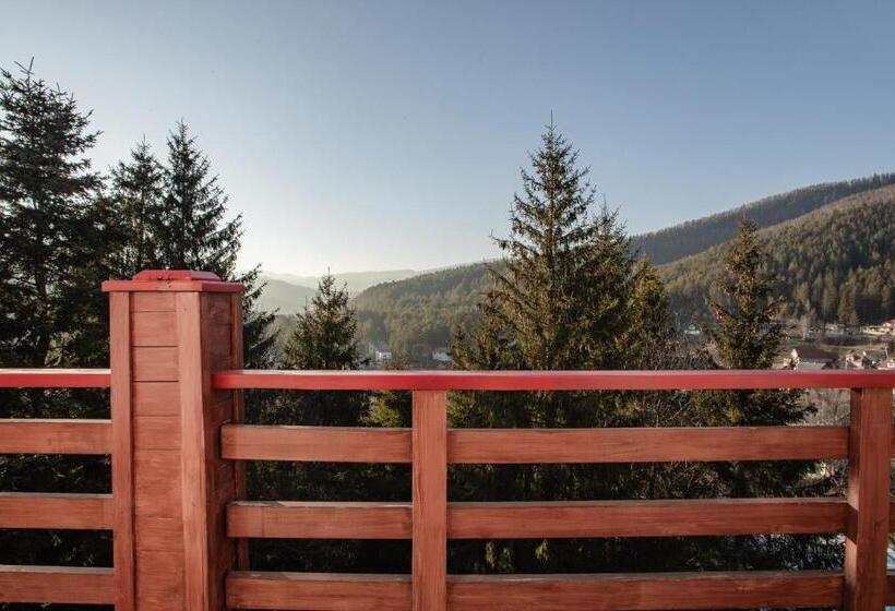 جناح جونيور, Wellland