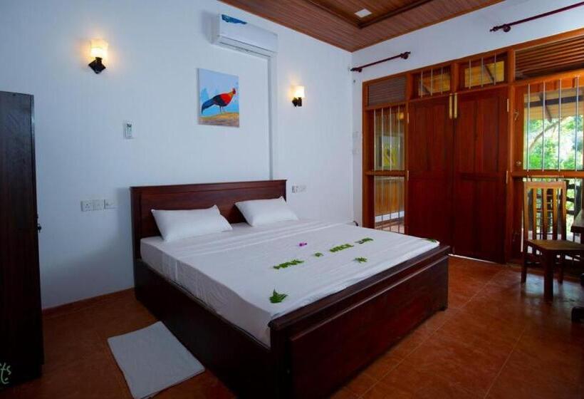 غرفة ديلوكس, Giants Forest