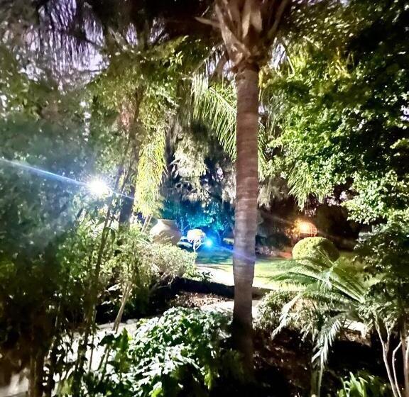 디럭스 룸, Cherry Nest At Madeliefie