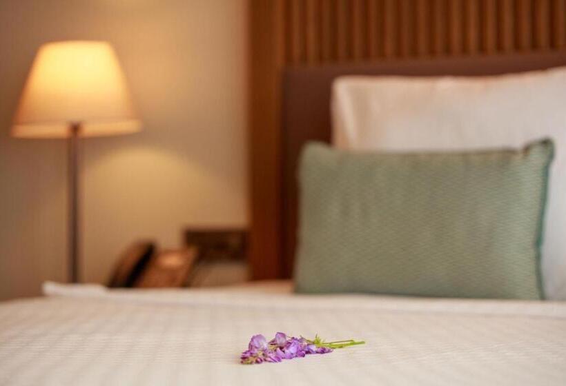 Люкс Повышенной Комфортности, Casa Lumar Luxury Lodging