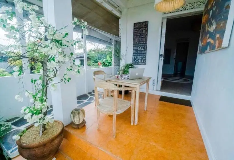 スタンダードスタジオ, Noya Bed And Breakfast