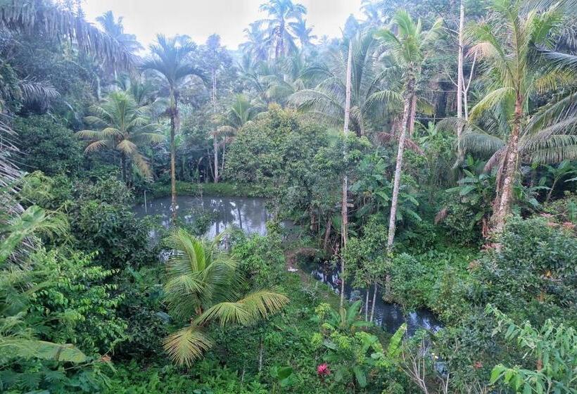 Вилла с 1 спальней и бассейном, Gunung Kawi Villa