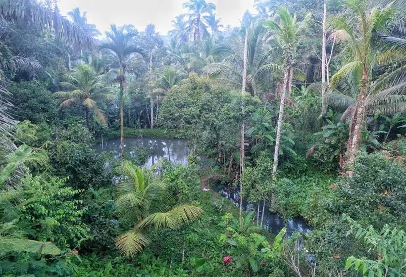 プール付き１ベッドルームヴィラ, Gunung Kawi Villa