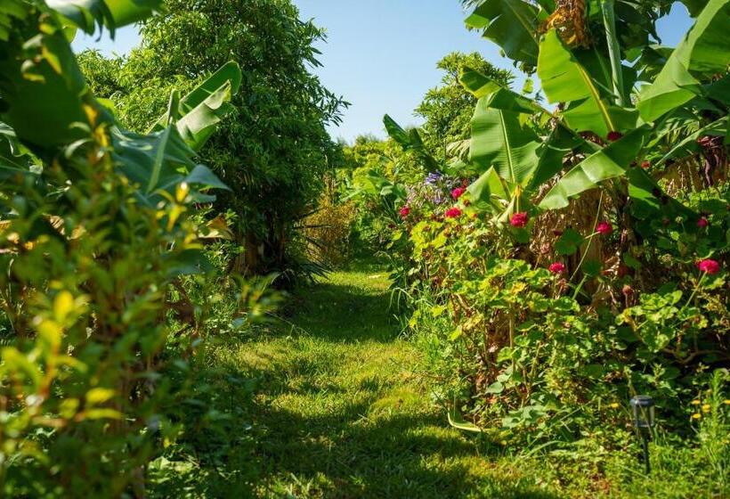 스탠다드 발코니 룸 바다 전망, The Plantation Faial