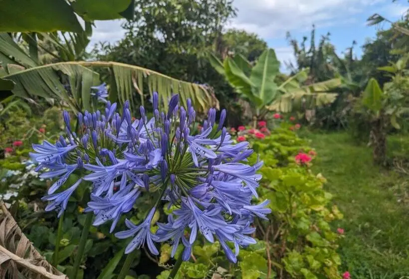 バルコニー付きデラックスルーム, The Plantation Faial