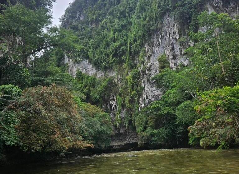 חדר משפחתי, Giraloa