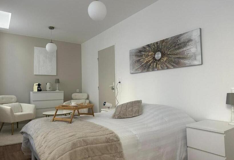 Люкс, Maison Des Ambans Chambres D Hotes Hypercentre 200m De La Gare Et Petit Dejeuner Inclus