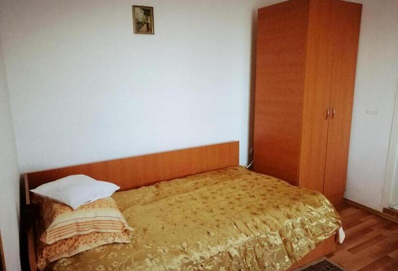 스탠다드 싱글 룸, Pensiunea Daria