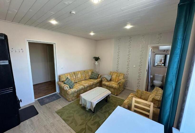 اتاق اکونومی, Tamsalu Wallamaja