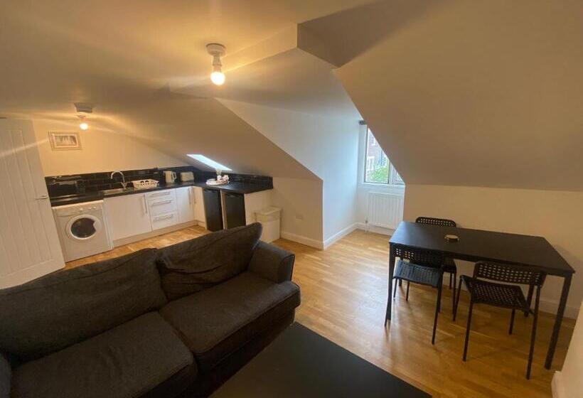 شقة غرفة واحدة, Fortunae City Center Ensuite Apartments