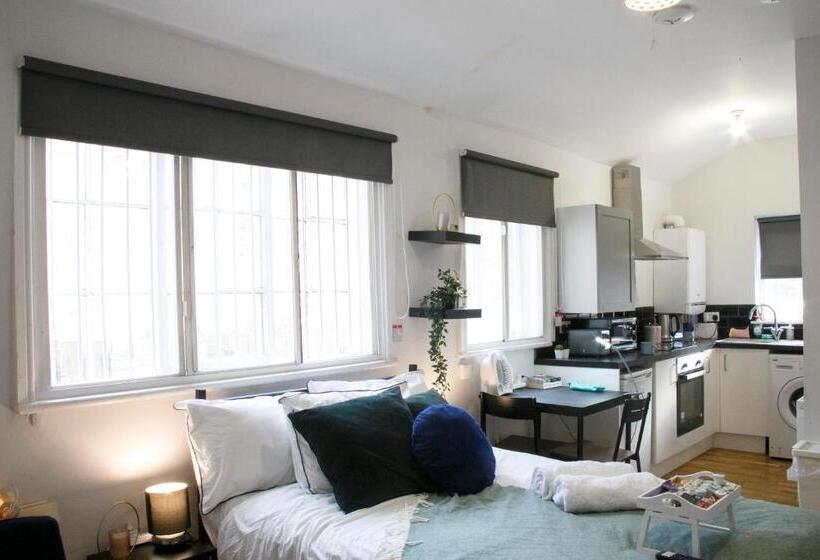 إستوديو قياسى, Fortunae City Center Ensuite Apartments