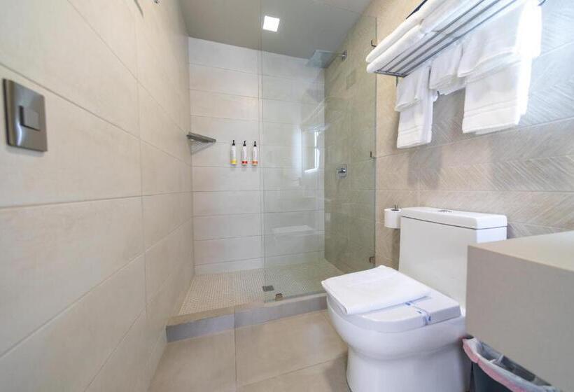 اتاق پریمیوم چهارنفره, Cedrela