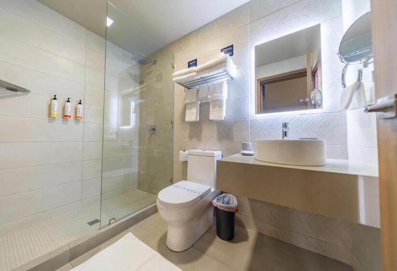 اتاق پریمیوم چهارنفره, Cedrela