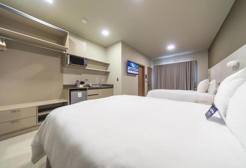 سوئیت جونیور با چشمانداز باغ, Cedrela