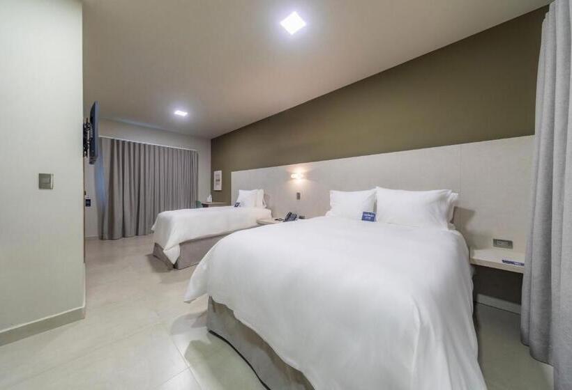 سوئیت جونیور با چشمانداز باغ, Cedrela