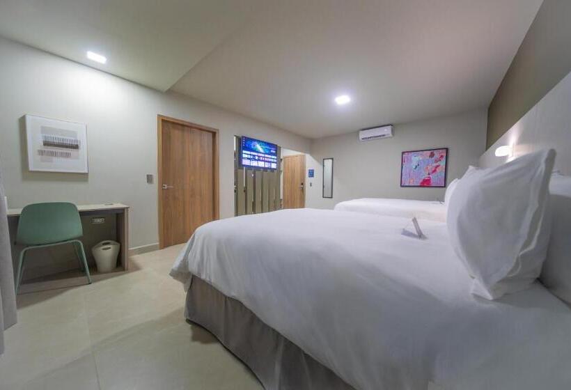 سوییت با چشمانداز باغ, Cedrela