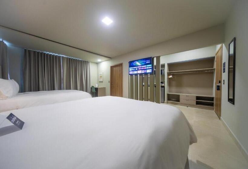 سوییت با چشمانداز باغ, Cedrela