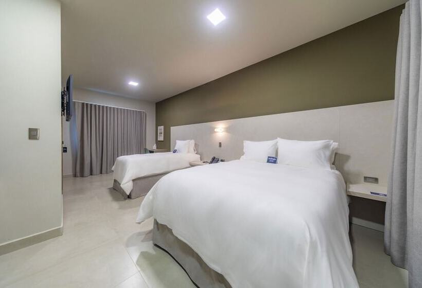 سوئیت جونیور با چشمانداز باغ, Cedrela