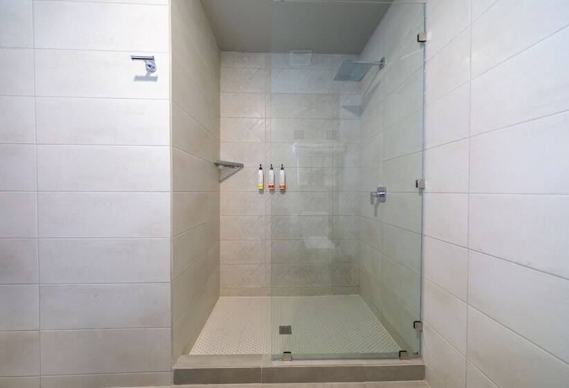 سوییت لوکس, Cedrela