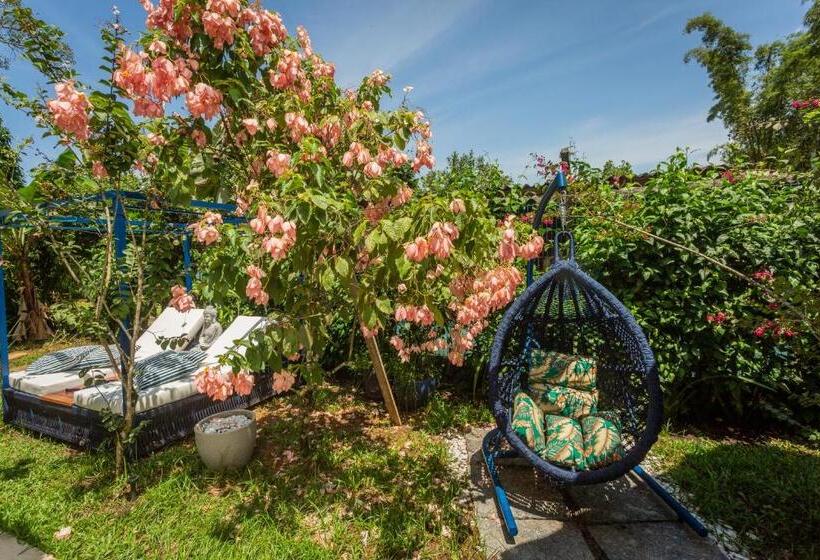 Люкс, Pousada Paraíso Almada