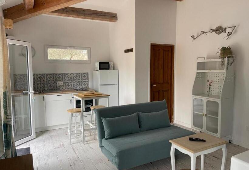 إستوديو قياسى مزودة بتراس, La Casa Bella