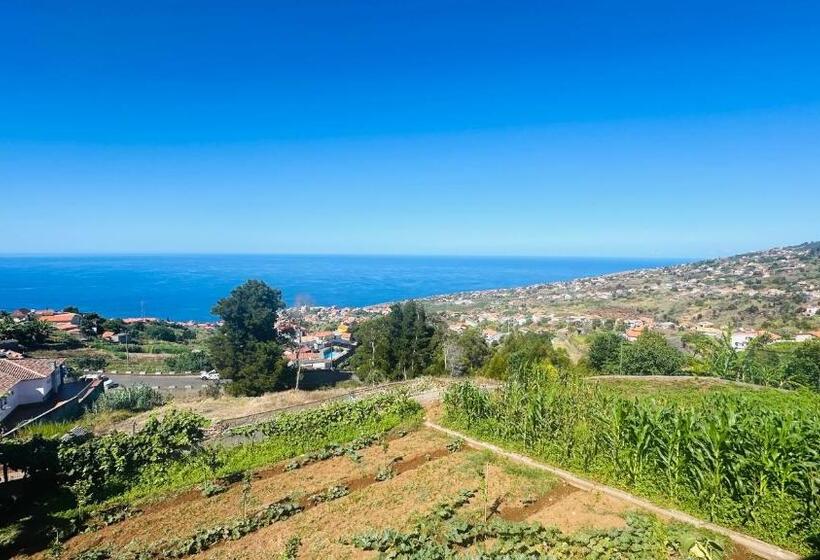 Апартаменты 1 Спальня с Видом, Casa Malee