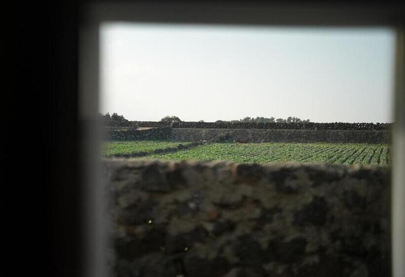 Quarto Quádruplo Standard, Jeju Dokchae Pension Doldam House Batdam Branch