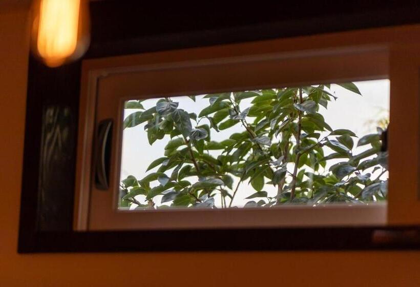 Номер Стандарт, Jejuya Pyoseon