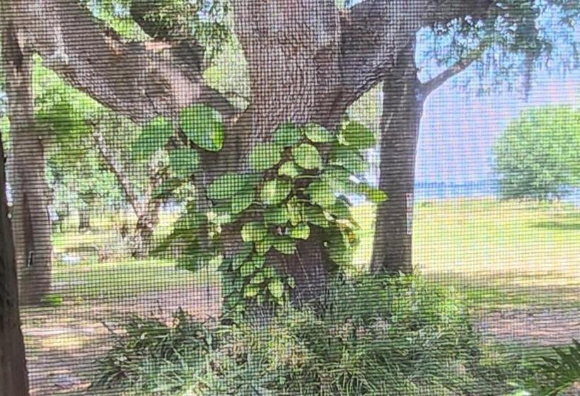 １ベッドルームアパートメント, New Cottage In Lake Placid On Lake Istokpoga