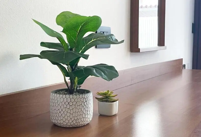 １ベッドルームファミリーアパートメント, Smart Residence Aviano