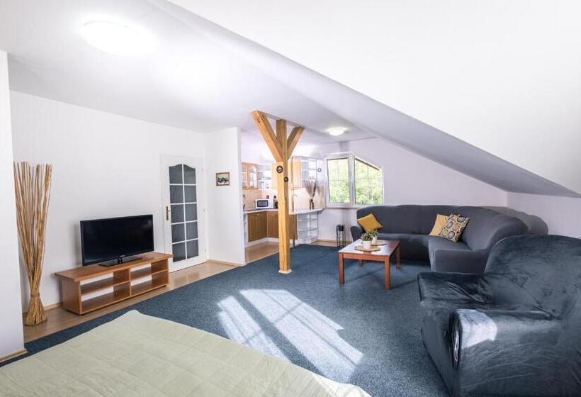 带1个卧室的公寓, Pension Tibor A Luna