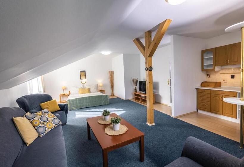 带1个卧室的公寓, Pension Tibor A Luna