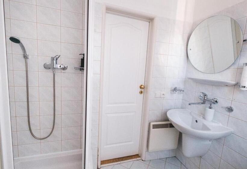 غرفة قياسية, Pension Jesuitska