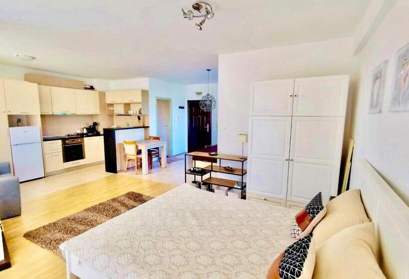 סטודיו דלוקס, Aпартаменти мини в бей вю