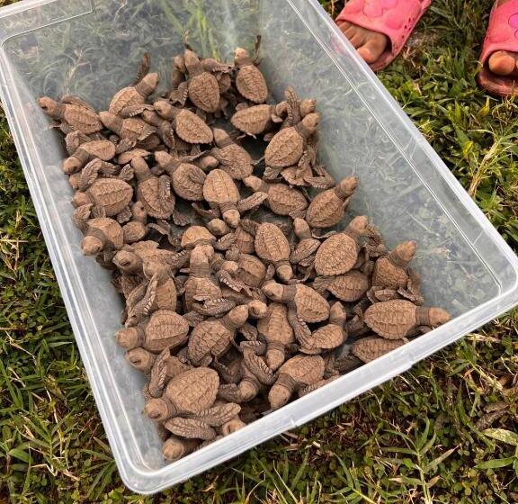 带2个卧室的套房, Cabinas Playa Bandera