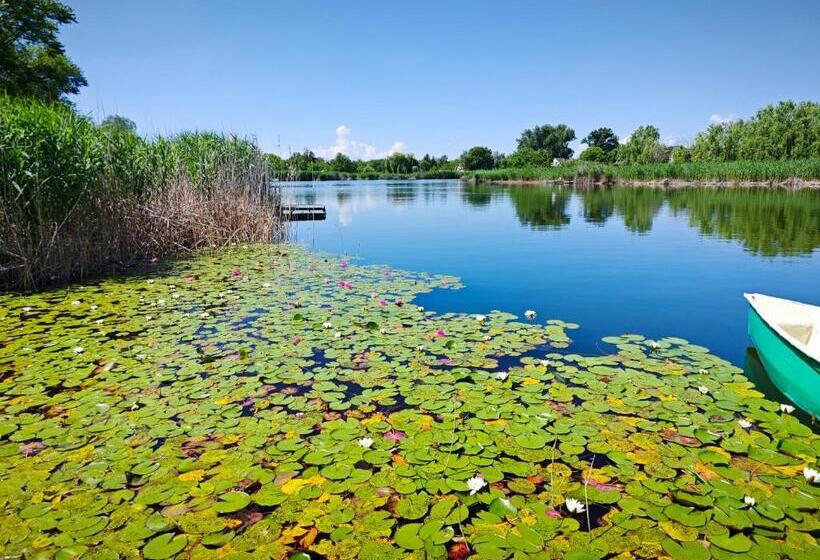 غرفة قياسية ثلاثية, Tavi Panzió