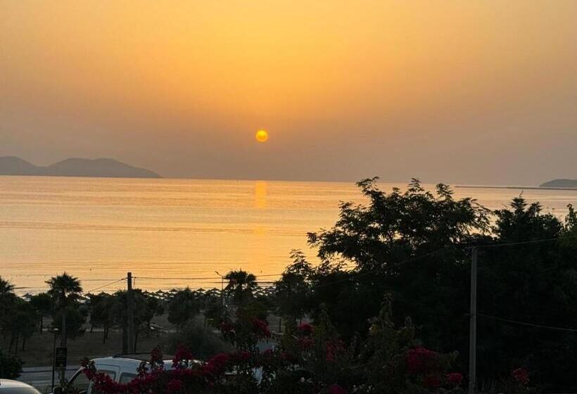 オーシャンビュースイート, Voyage Villa