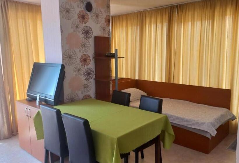 标准工作室带阳台, къща ели приморско