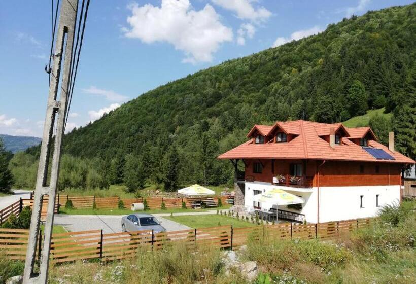 스탠다드 룸, Pensiunea Pietrosul Rodnei