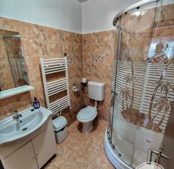 غرفة قياسية, Casa Cosmin Cincu